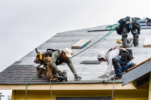 Professional Storm Damage Roof Repair technician working in Thatcher, UT
